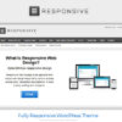 Image of A Free WordPress Theme from CyberChimps