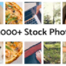 Best Stock Photos Mega Bundle Of 80,000+ Royalty Free Images [Vol. I & II]