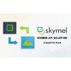 Skymel – Hybrid API Solution / 6 Months Plan- Tier 1