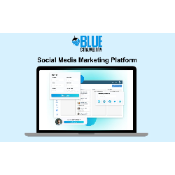 Image of Blue Strawberry – Social Media Marketing Platform / Standard lifetime plan